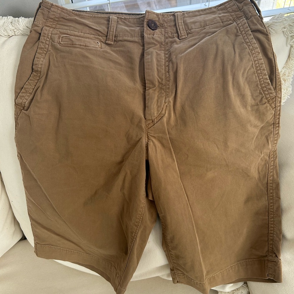 American Eagle Outfitters Brown Flat Front Shorts